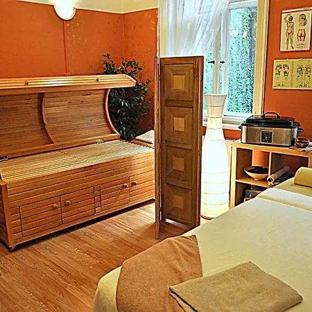 Kucera 3* Karlovy Vary
